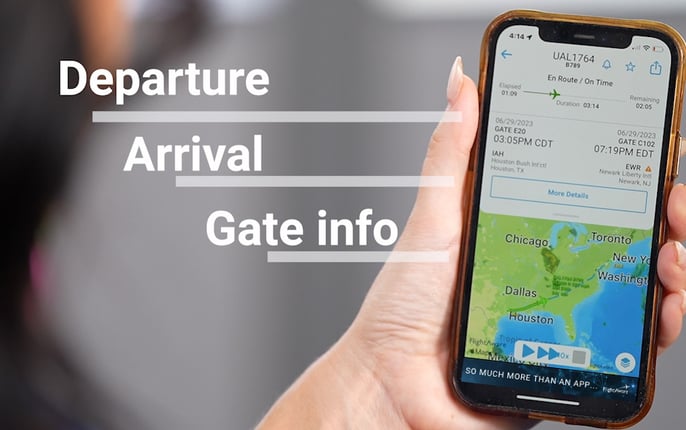 App Flight Info c